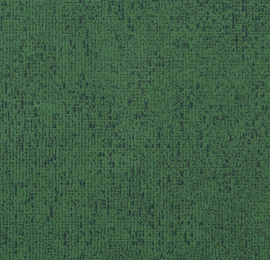 s203088 Code evergreen