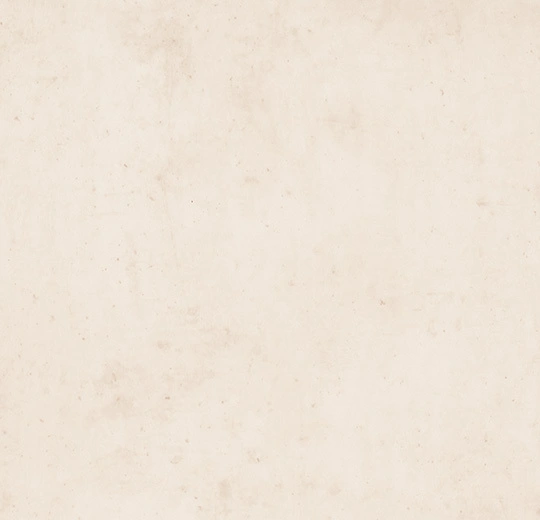 26684 quartz seashell