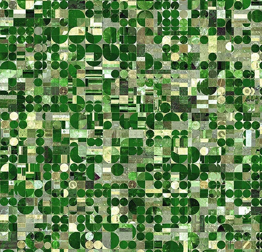 000699 Circular Fields