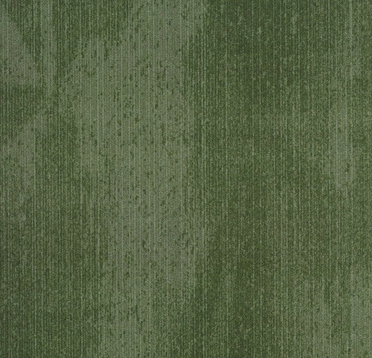 s202001 Latitude juniper