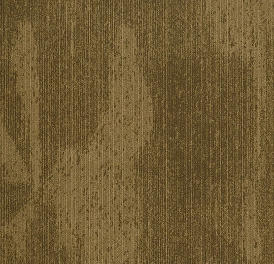 s202002 Latitude mustard