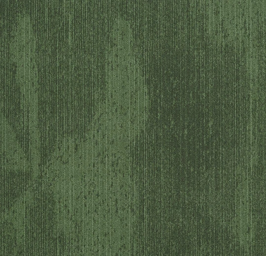 s202003 Latitude cypress