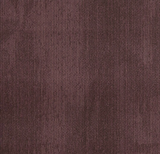 s202004 Latitude claret