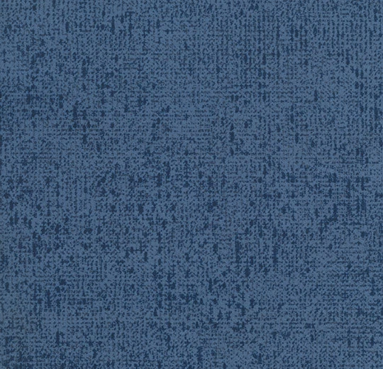 s203004 Code cornflower