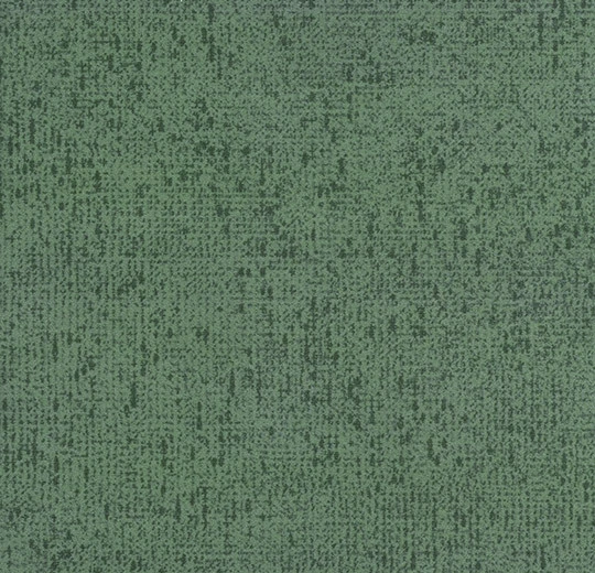 s203005 Code spearmint