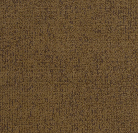 s203007 Code apricot