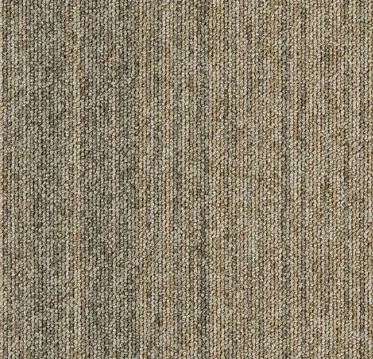 4808 dune