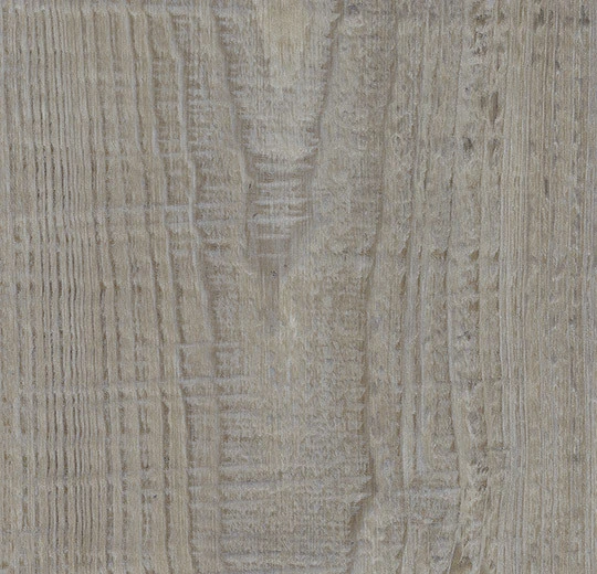 69186CD5 steamed pine
