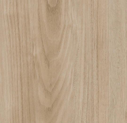 69206CD5 natural nutwood