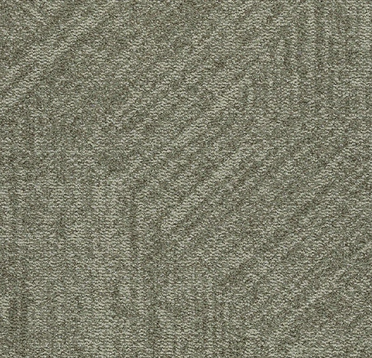 4909 mossy base