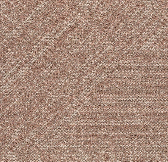 4911 clay sector