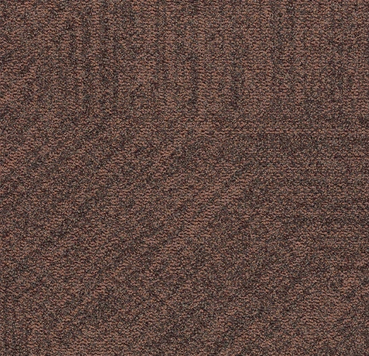 4912 pecan path