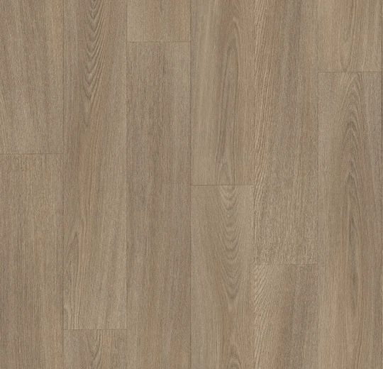 8431P4319 oak XL natural