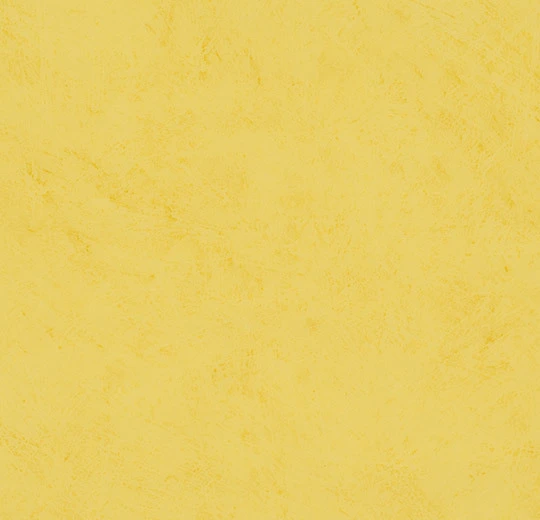7615P43C nuance daffodil