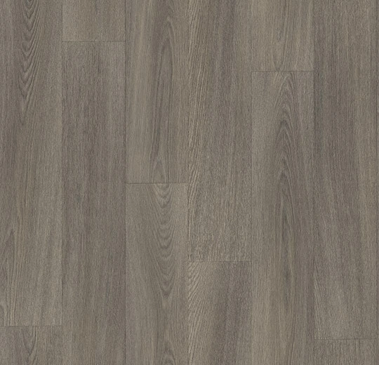 8422P43C oak XL carbon