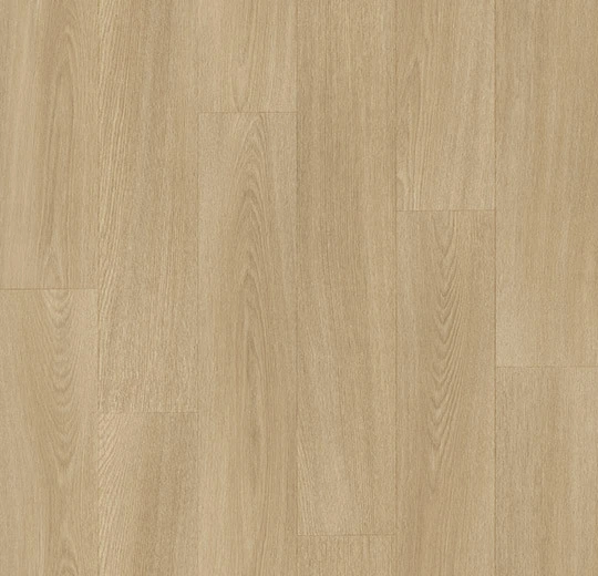 8443P43C oak XL honey