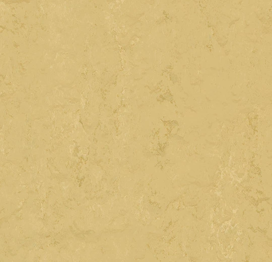t3774 corn silk