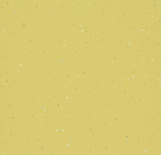 42532 elegance daffodil