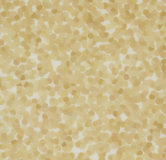 90703T4319 champagne halo