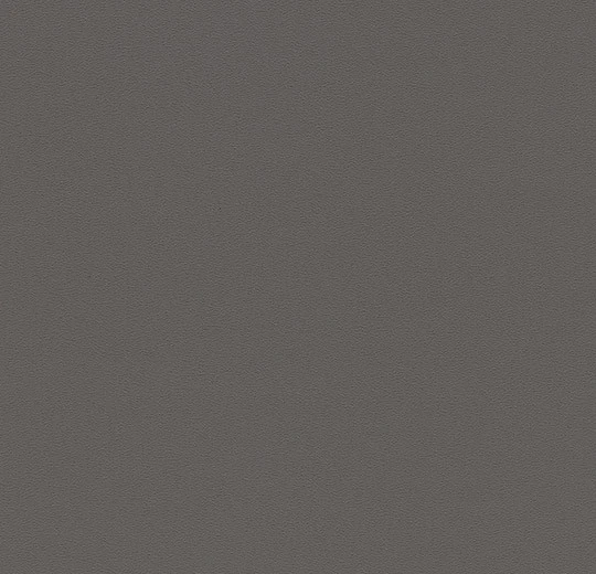 0869T4319 charcoal uni