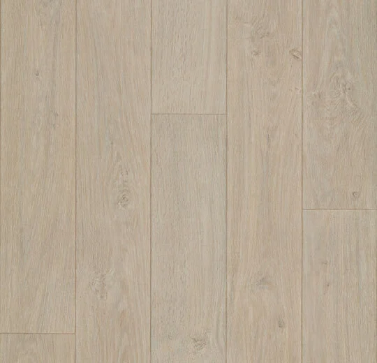 612802 elegant oak