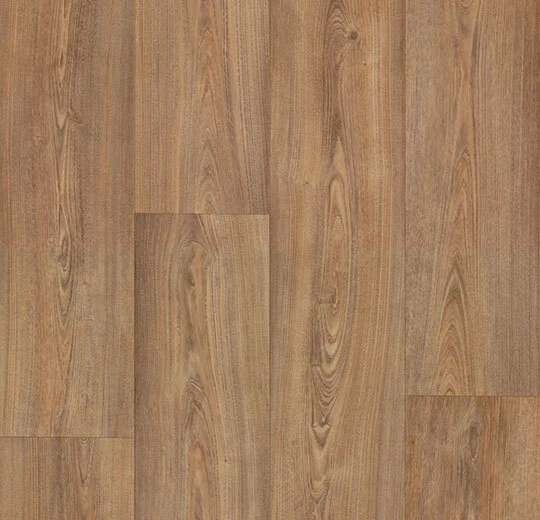 610362 warm chestnut