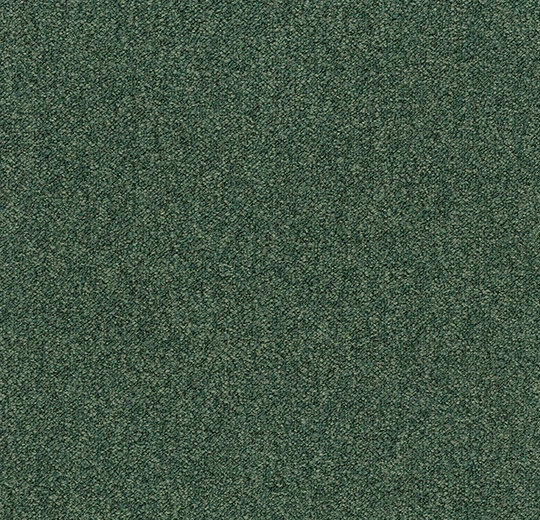 3629 ivy
