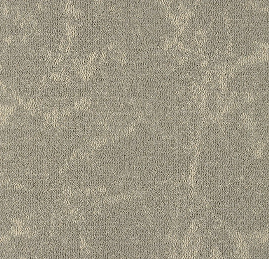 5103 cosy canvas
