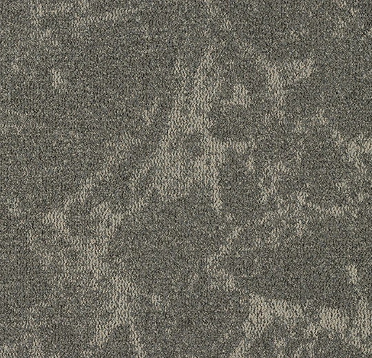 5104 mild mushroom