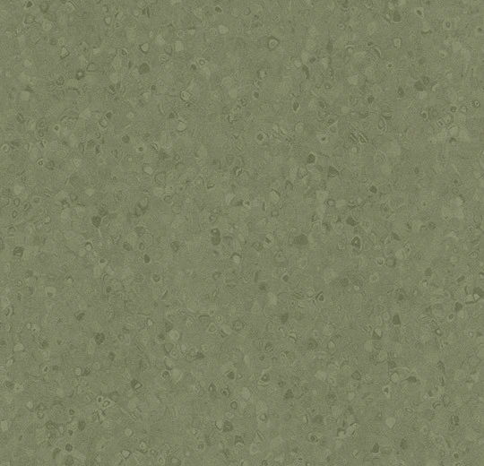 50093 crocodile