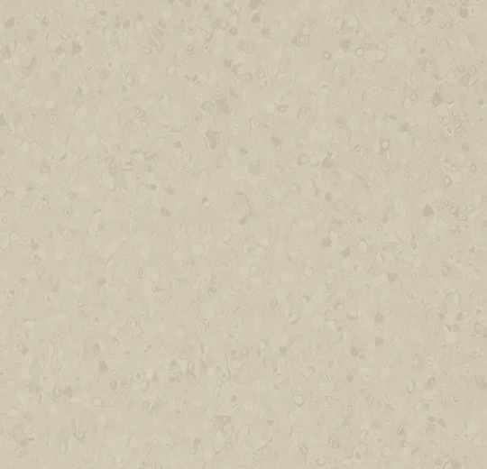 50101 canvas