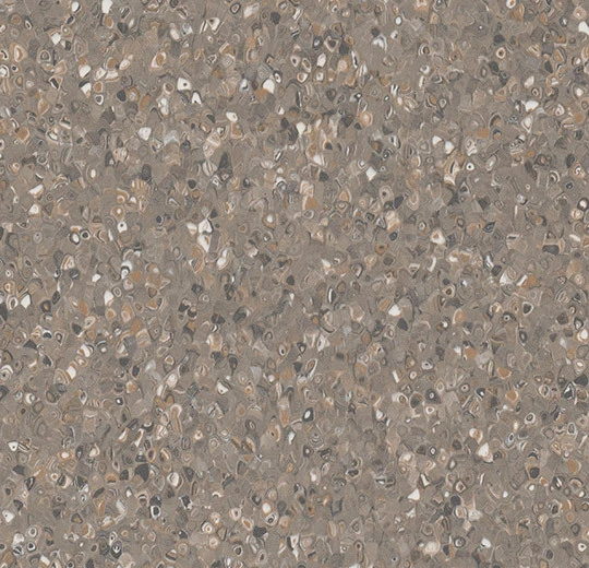 51081 multi chocolate