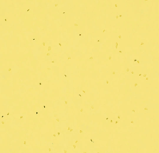 50261 banana