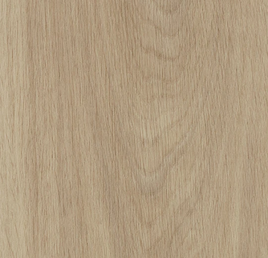 5503HAD7 sun-bleached serene oak (50x12.5 cm)