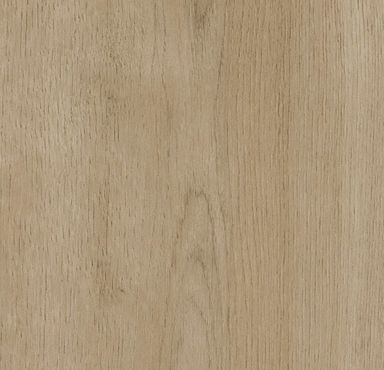 5323AD3 taupe smooth oak (120x20 cm)