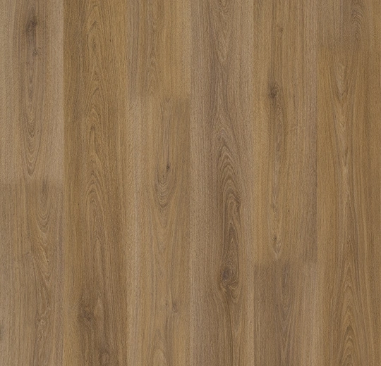 3089 warm soft timber