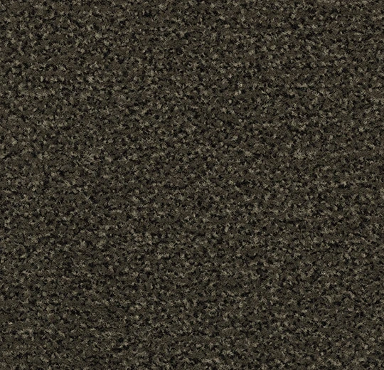 4734FR Coral Classic FR spun gold