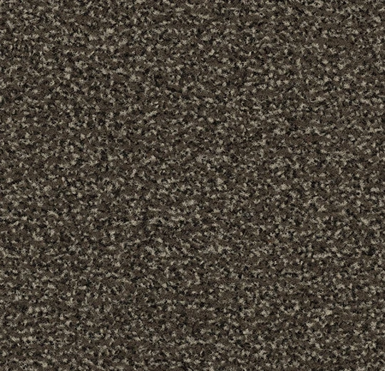 4794FR Coral Classic FR taupe