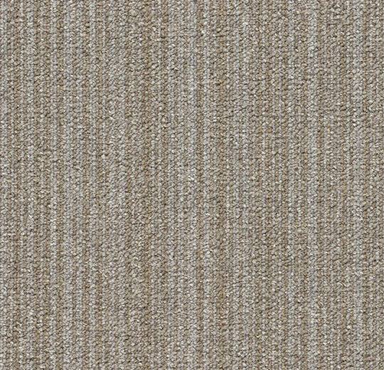 3110 calico