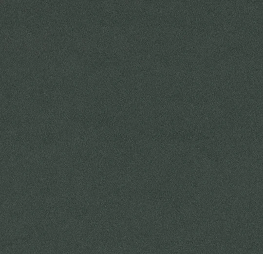 4174 conifer