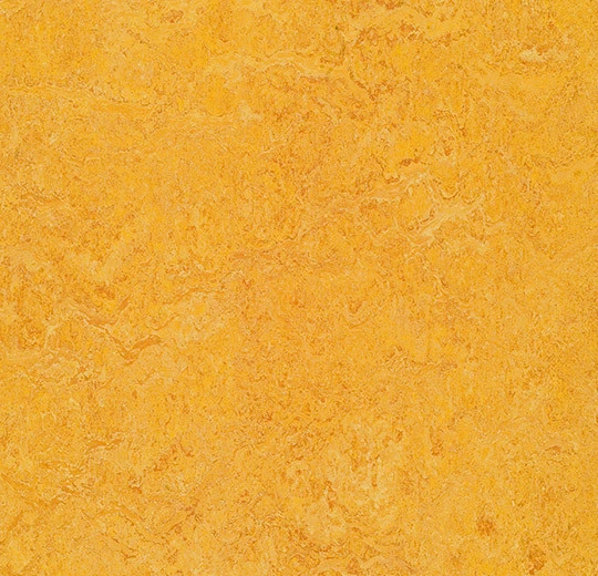 3225 dandelion