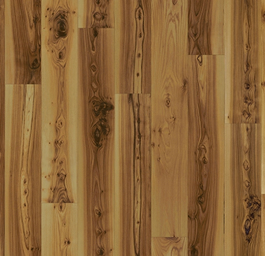 010012F light elm