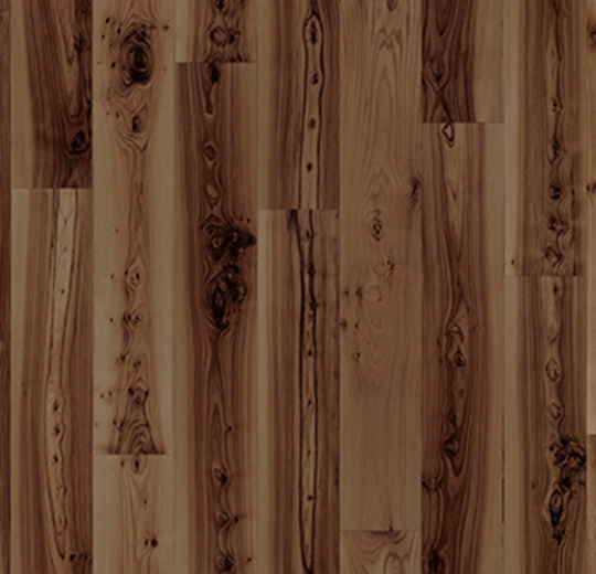 010020F dark elm
