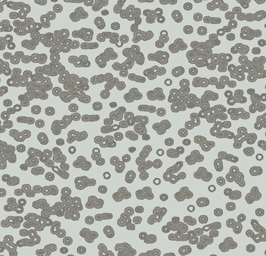 990201 Bacteria