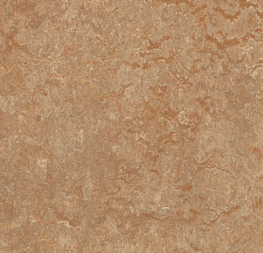 MCT 3233 shitake