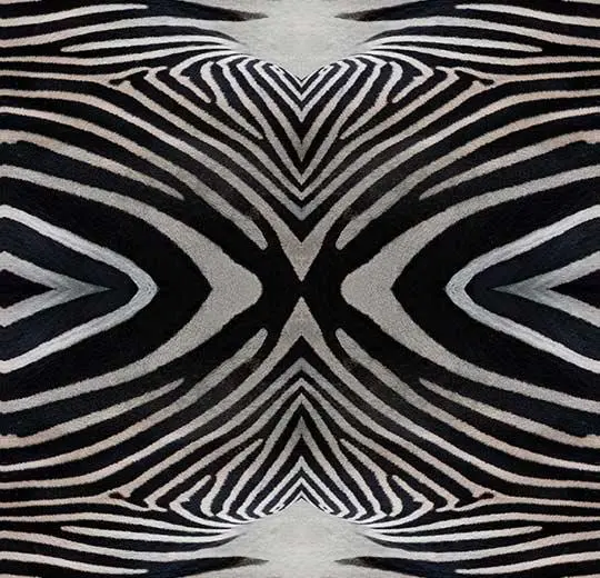 000402E zebra