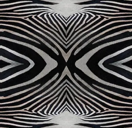 000402FR zebra