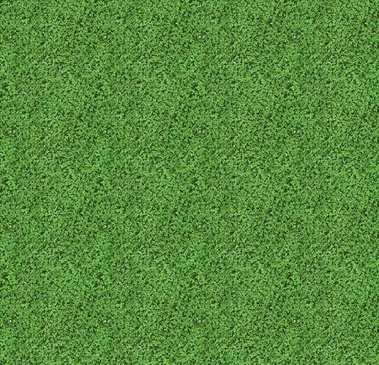 000430FR shamrock