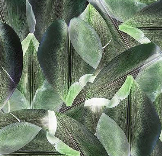 001589FR Tulip Field Green