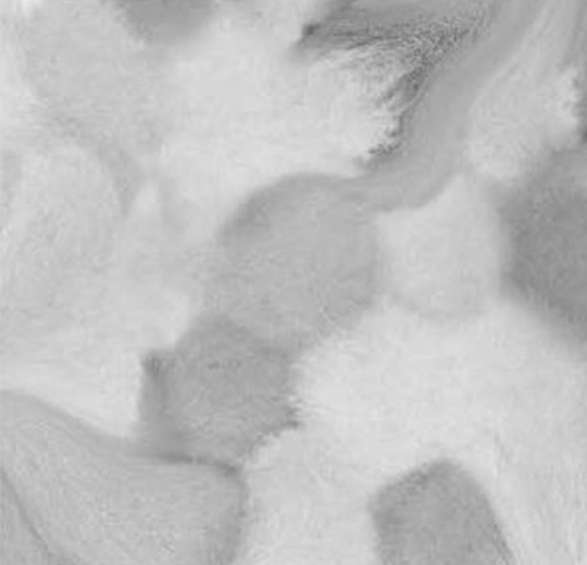 001595FR Welcome to Jupiter Grey